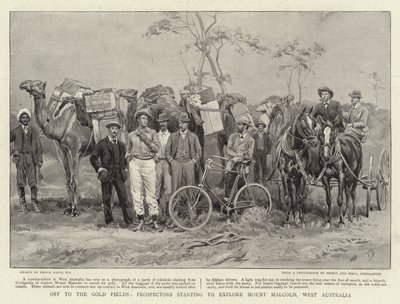 Afsted til Gold Fields begynder prospektører at udforske Mount Malcolm, Vestaustralien af Frank Dadd